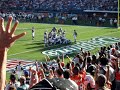 Dolphins Game