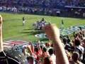 Dolphins Game