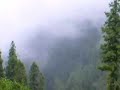 Ayubia-where clouds come to you