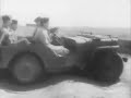 Willys Jeep - www.pastfinder.de