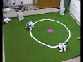 Juego de las sillas con AIBO