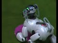 juego de las sillas con aibo