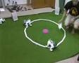 Juego de las sillas con AIBO
