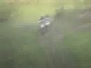 Kris goes wild on a baja mini bike Iron Horse