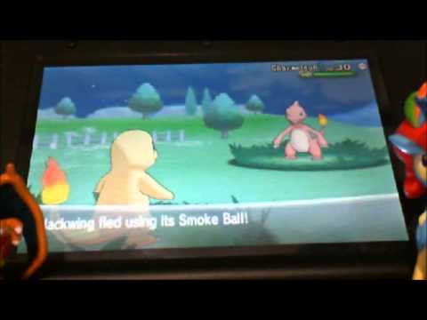 how to obtain charmander in pokemon x and y