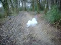 Click here to watch this video Nitrate Thunder