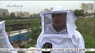 سليمة سليمي - فلاحة مختصة في تربية النحل بولاية تيبازة