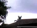 Tornadoes in Lyford Cay Nassau Bahamas