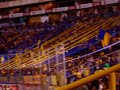 Tigres Libres y Lokos vss Amierdika