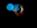 Coldcut live 28/10/06 Cit� de la musique 3