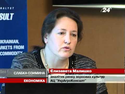 Смотреть видео