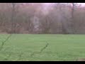 Gekken-die-aan-het-V