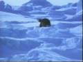 ANTARCTICA BUBBLE-B REMIX / BUBBLE-B