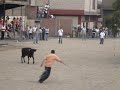 Jala Toro