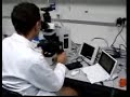 Gus en el microscopio