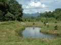 Expat Life in Northern Thailand - YouTube