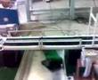 Foto v�deo