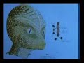 Herbert Schirmer Police Officer Abducted By Aliens 1of4