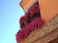 video_pedregales_comprimido.wmv
