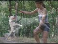 fanda-parson-russell-terrier-movie.html