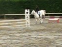 CSO du 02/11. Maelle et Inkane en Club 2. sf 2eme