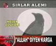 KARGA ALLAH DIYOR ASLAN KUS