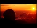 Sonic Species - Lost Transmission