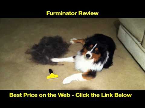 FURminator Review - Deshedding Tool - Best Dog Grooming Brush ★★★