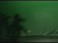 Kollage vs. Boyz of Poison (hip-hop) - Battlezone II
