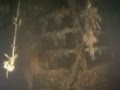 videos de Trio wreck