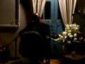 Como Siempre - Armando Rosas - Homenaje a Ilya de Gortari