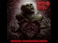 Brutal Death Metal/Grindcore