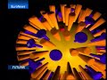 EuroNews - FR - Futuris: Recherches sur le virus H5N1