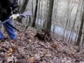 squirrel hunting in Bailington Tennessee