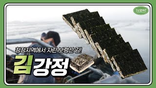 보령쿡 | 청정지역에서 자란 보령산 김! 김강정