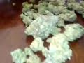 KUSH 4 yall