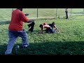 Click here to watch this video Boxing in the Brick.s