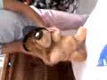 Bettho Dancing  A