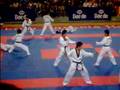 Kukkiwon Demoteam EC2006-oneoone selfdefence
