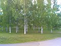 Mopopoikien/tyttöjen mielenosoitus vihdissä Mopopoikien/tyttöjen mielenosoitus vihdissä