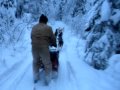 Mushing 009.avi