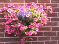 Still Blooming Marvellous 2008