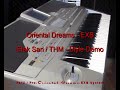 3/4 & Etek Sari (Mod.THM) - Style Demo