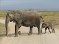 Photos  -  Kenya