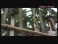ASSAM::ASSAMESE : RONGE SAJE RE :: CHOL GAURI