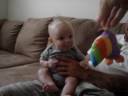 that toucan is so funny!!!