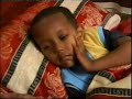 Geremew Asefa Shegugn Lihid