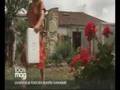 Pierrette Nardo Floradiane cuisine les fleurs comestibles et autres plantes sauvages ou anciennes