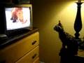 Voo-watching-Ice-Age
