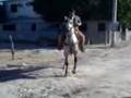 videos de caballos aztecas